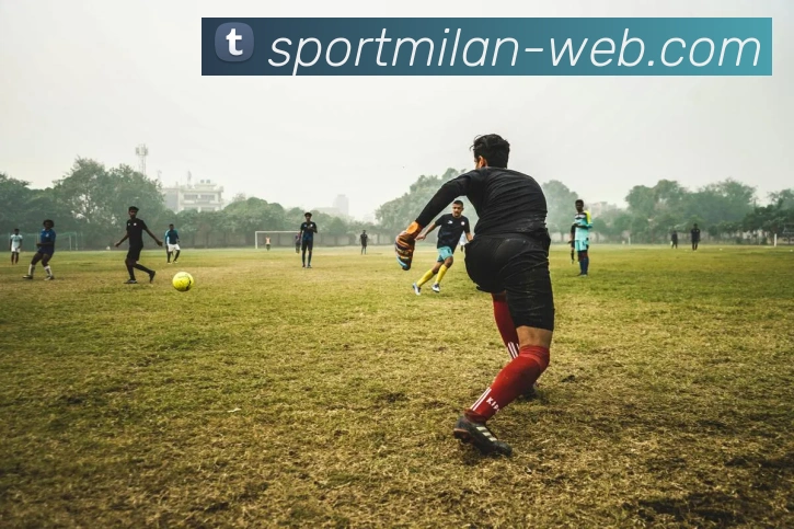 米兰体育平台生态图